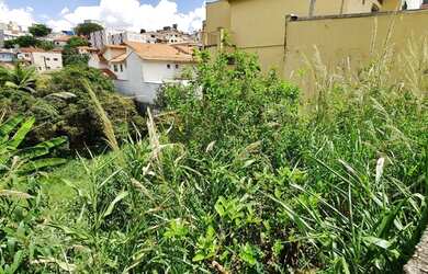 Imagem 7: Terreno no Tucuruvi - São Paulo - SP