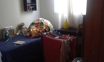 Imagem 7: Transferencia no Castel Franco