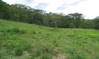 Imagem: Lote/Terreno para venda possui 132000 metros