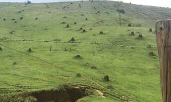 Imagem: Fazenda/Sítio/Chácara para venda tem 250