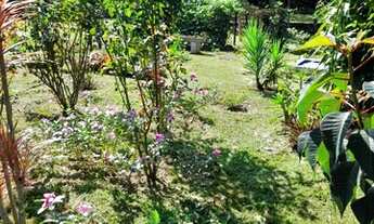 Imagem 6: BELO SÍTIO EM ALEXÂNIA - GO