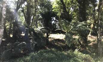 Imagem 3: Terreno à venda, 688 m² por R$ 249.100,00 - Alpes Verdes - Canela/RS