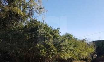 Imagem 4: NOVO HAMBURGO - Terreno Padrão - Rincão