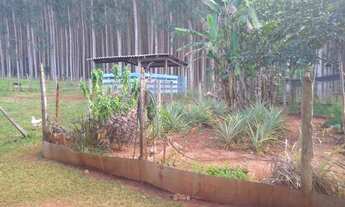 Imagem 7: Linda Chácara.. Jaraguari MS. Casa de Madeira Rustica