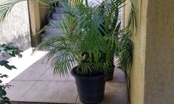 Imagem 4: Sobrado com 2 dormitórios à venda, 140 m² por R$ 478.000,00 - Vila Gustavo - São Paulo/SP