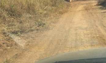 Imagem 5: Dois lote setor grande Goiânia na terra Hidrolândia