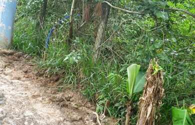 Imagem 7: Terrenos próximos à rodovia Dom Pedro