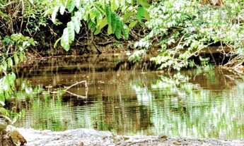 Imagem 2: Chácara com 3 dormitórios à venda, 484000 m² por R$ 800.000,00 - São Félix - Marabá/PA