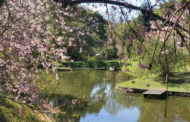 Imagem 4: Casa para venda com 800 metros quadrados com 5 quartos em Secretário - Petrópolis - RJ