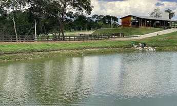 Imagem 5: 19 alqueires - silvania