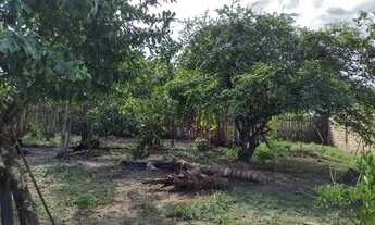 Imagem 6: Sítio em Ananindeua