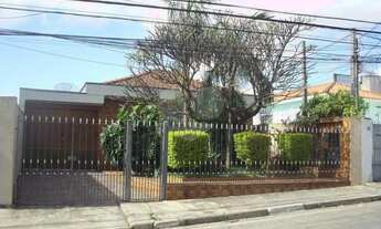 Imagem 2: CASA TÉRREA A VENDA NA VILA NOVA MAZZEI - 3 DORMITÓRIOS (1 SUÍTE) E 8 VAGAS DE GARAGEM