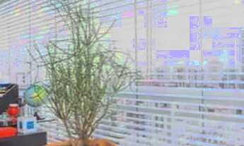 Imagem 7: Apartamento para venda possui 50 metros quadrados com 1 quarto