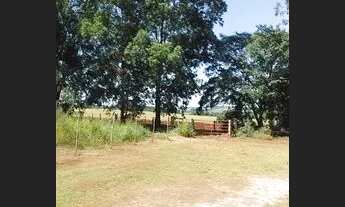 Imagem 6: Sitio em cajuru 2 alqueires 500.000.00 ( ja