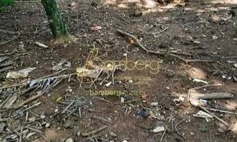 Imagem 7: Segurança, conforto e muito verde a poucos metros do laguinho