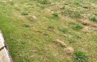 Imagem 4: Terreno - Tanquinho Velho - Monte Alegre do Sul