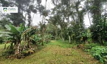 Imagem 5: Chácara à venda no bairro Vila das Palmeiras - Morretes/PR