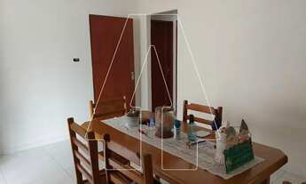 Imagem 6: Araçatuba - Casa - Petit-Trianon