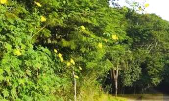 Imagem: Franco da Rocha - Terreno Padrão - Vila