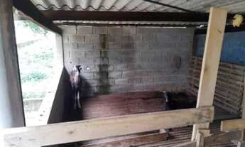 Imagem 5: Chácara em Itanhaém/SP - Chácaras Lucel