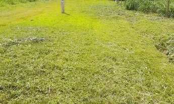 Imagem 7: Lotes, chácara Nova Veneza !