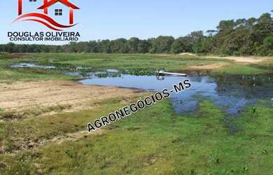 Imagem 6: Fazenda De 10.700 Hectares No Pantanal Da Nhecolandia