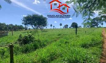 Imagem 2: Sítio 7 Alqueires Região Do Prata/MG