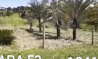 Imagem 4: Lotes, chácara Nova Veneza !