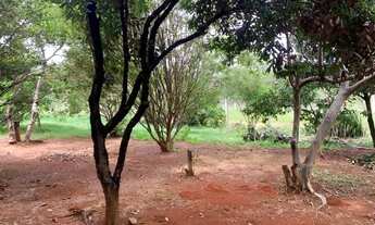 Imagem 7: Chácara de 1.000m² plantada de arvores frutíferas, em frente a uma reserva ecológica