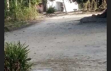 Imagem 7: Vendo sítio na Cabrita