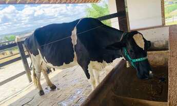 Imagem 5: Flat no monte castelo Aceito cartão de crédito