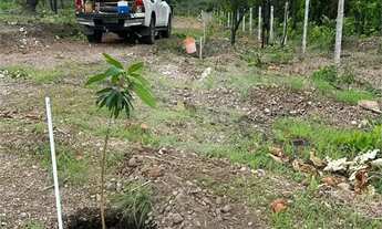 Imagem 4: Terreno à venda em Centro - MT