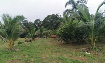 Imagem 4: VENDE-SE SÍTIO NA CARLOS BRAGA