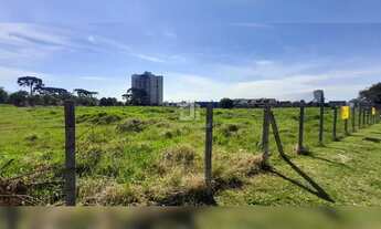 Imagem 7: Lote à venda em Pinhais | 663 m² | 15x45