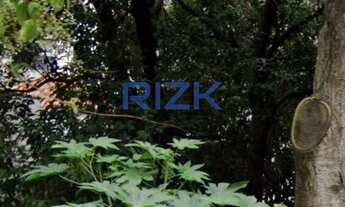 Imagem 2: Terreno Aclimação