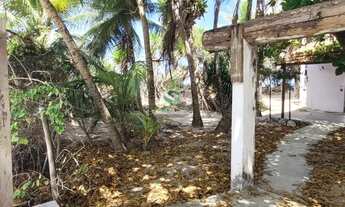 Imagem 3: Grande oportunidade uma barraca na praia do futuro