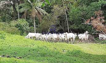 Imagem 3: Fazenda, Centro, Cachoeira - R$ 3.2 mi, Cod: 68852