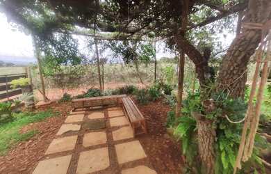 Imagem 4: Vendo ótima chácara de 5 mil metros no monjolo