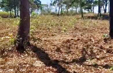 Imagem 7: SÍTIO 17 ALQUEIRES COM ESTRUTURA COMPLETA! EM NIQUELÂNDIA