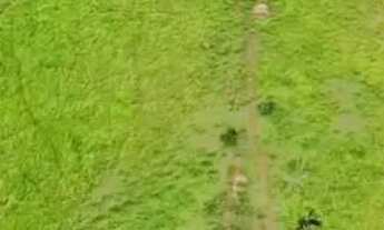 Imagem 2: ? CHÁCARA À VENDA - SANCLERLÂNDIA/GO ?