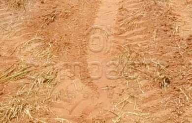 Imagem 3: Terreno Padrão em Bady Bassitt