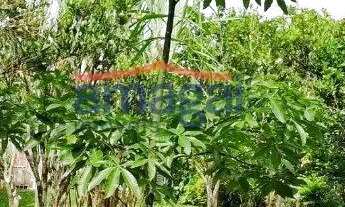 Imagem 7: Chácara à venda em Jardim Colônia, Jacareí