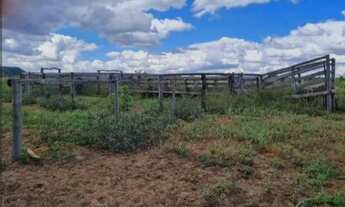 Imagem 2: FAZENDA TODA PLANA EM MAMBAÍ (GO) ? 950 ALQUEIRES