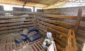 Imagem 7: Chácara a venda Núcleo Rural Rajadinha, Planaltina DF