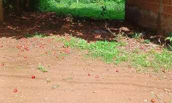 Imagem 6: Terreno com case pré construída PAQUETA