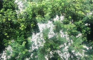 Imagem 6: Alugo Apartamento Mobiliado Village do Porto