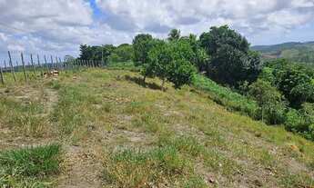 Imagem 5: Sítio com casa simples em área rural