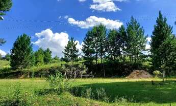 Imagem: Campo Largo, Ferraria, chácara 51.425m²