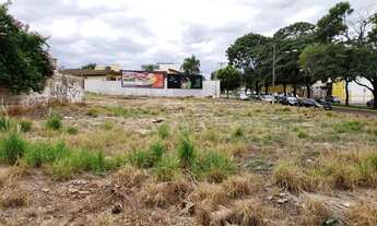 Imagem 3: Lotes comerciais para locação na Avenida Professor João Fiúsa