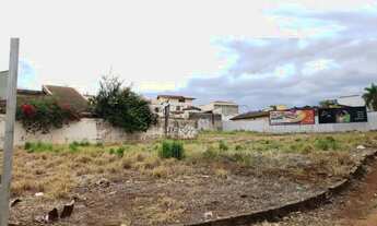 Imagem 2: Lotes comerciais para locação na Avenida Professor João Fiúsa